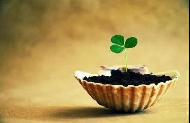 人为何会痛苦烦恼?佛陀早就洞悉了这些毛病 人为何会痛苦烦恼?佛陀早就洞悉了这些毛病