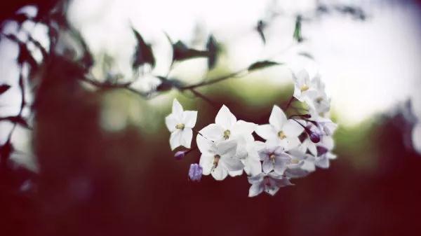 人生如梦幻,梦醒一场空~ 人生如梦幻,梦醒一场空~