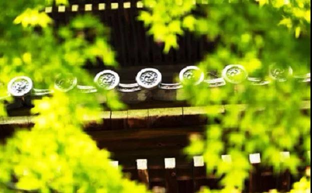 ���ߴ�ʦ�뾻������