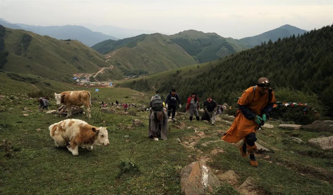 Ϊʲô�е�������ž������ˣ��е�������һ����Ҳû����