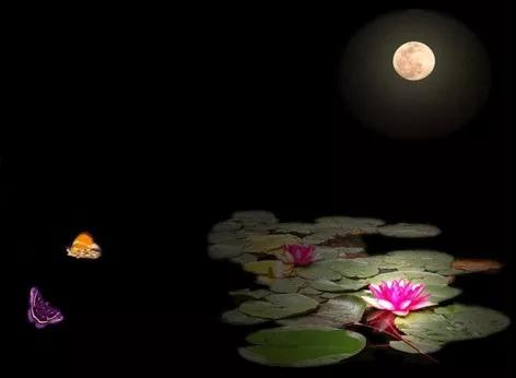 ������������ֻصĽݾ�