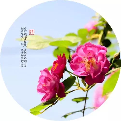 �����װ�������ģ�