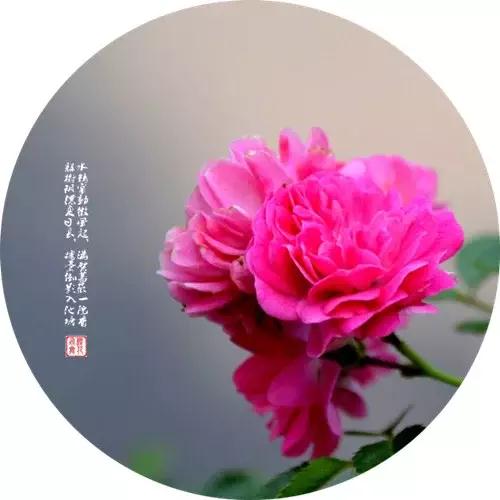 �����װ�������ģ�