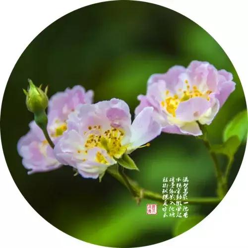 �����װ�������ģ�