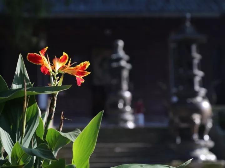 �����������֢�ķ���_|_�ϳ��ԡ��ҡ���ִȡ