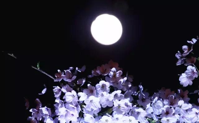 ��Ҫ�ٷ����ˣ�����еġ�������ԭ���������˼����