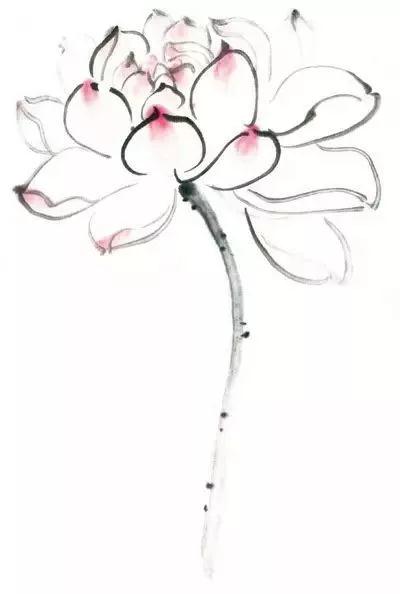 ��ʶ_|_ʲô�������ҵ�����ֻء�������