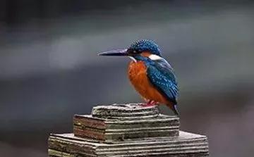 ��Ҫ�Ĳ��࣬��Ҫ��̫��