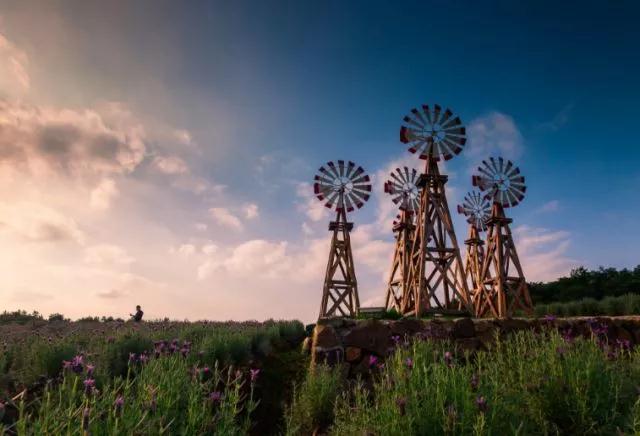 ��Ҫ���ڡ��𷨡���_Ҫ�ѡ��𷨡������