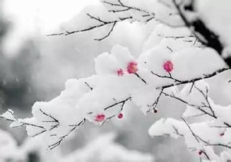 �����ĳɳ����澳ĥ��