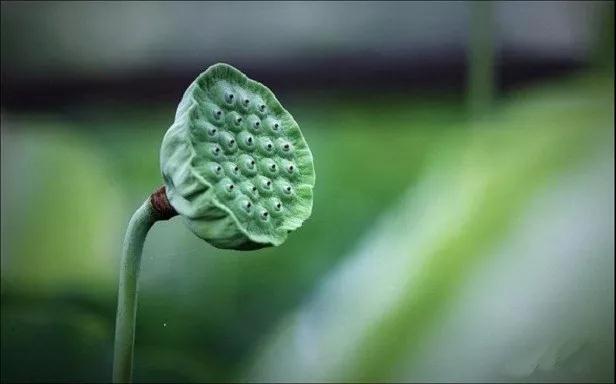 ���˺ܶ���𾭣��𾿾������ʲô��