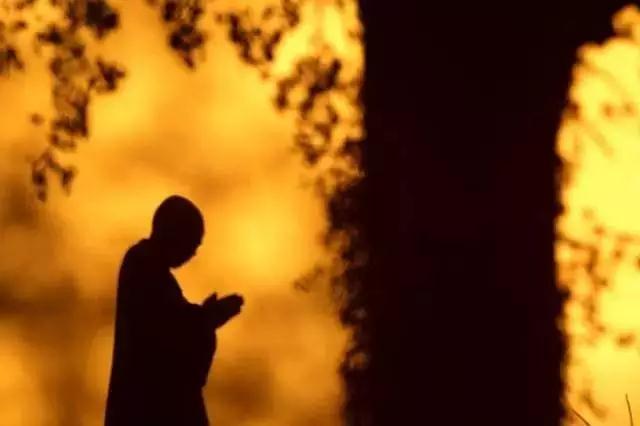 ������Ҫ�����鼫��ľ��ݷ���