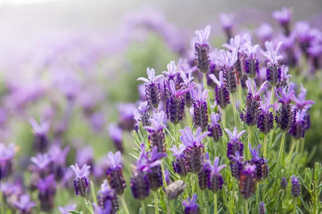 ���о����·���Ѭ�㡱��_�����ͻ���ζ��