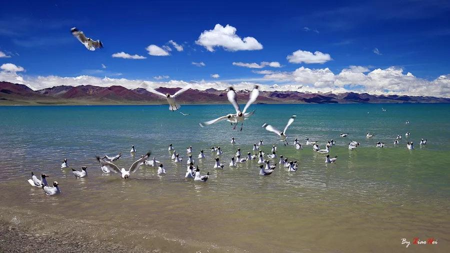 是什么牵引我们进入未来世? 是什么牵引我们进入未来世?