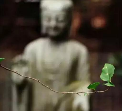 ���תʮ���澳Ϊ������