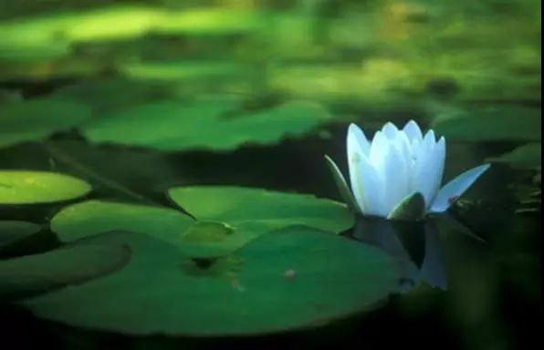 ���תʮ���澳Ϊ������