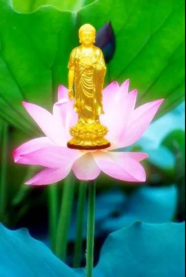 ѧϰ��������Ҫ��ʵ��Ҫ���۹���