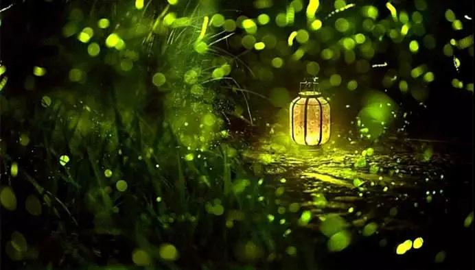 �����������ʦ��_Ҫ�ú���ϧ��