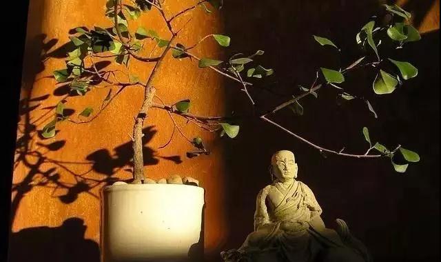 ��ѧ��������У�������һ����򵥵Ĺ��Σ�