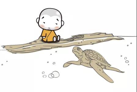 ѧ�������5�������������㶼�ƿ�����