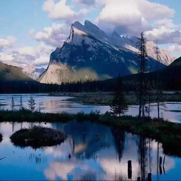 ����������������������