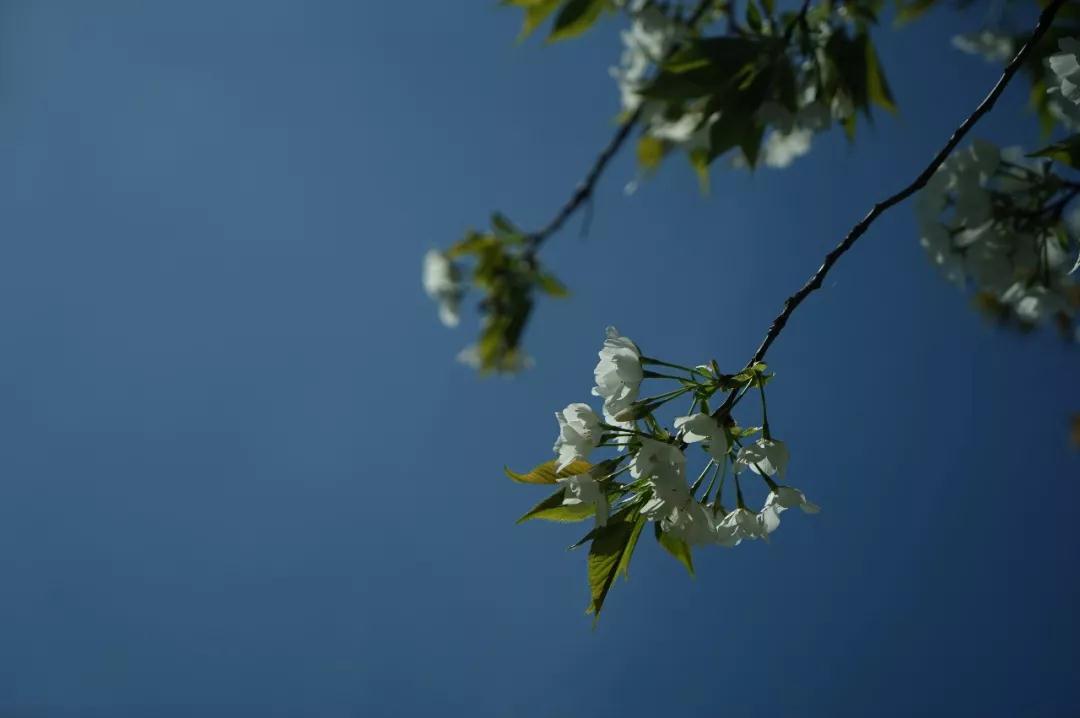 ��������ÿһ�仰���鵽��������Ͷ���