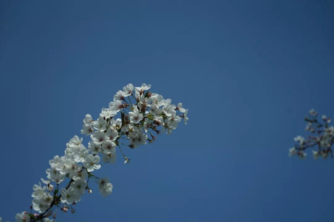 ��������ÿһ�仰���鵽��������Ͷ���