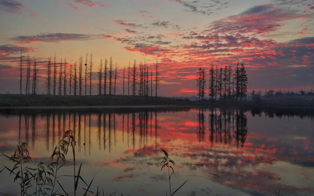 ���ƴ�ʦ����������˺;���Ŀ���