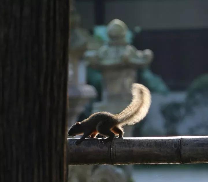 念佛是否得力的基础,在于你的福德是否具足 念佛是否得力的基础,在于你的福德是否具足