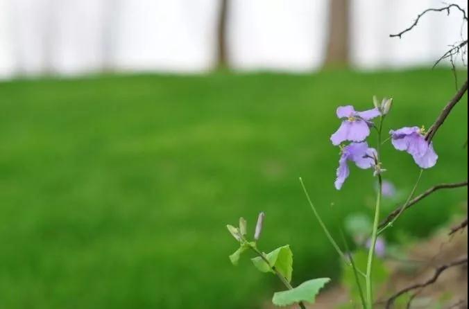 ����������Ŀ�������ޡ�����������