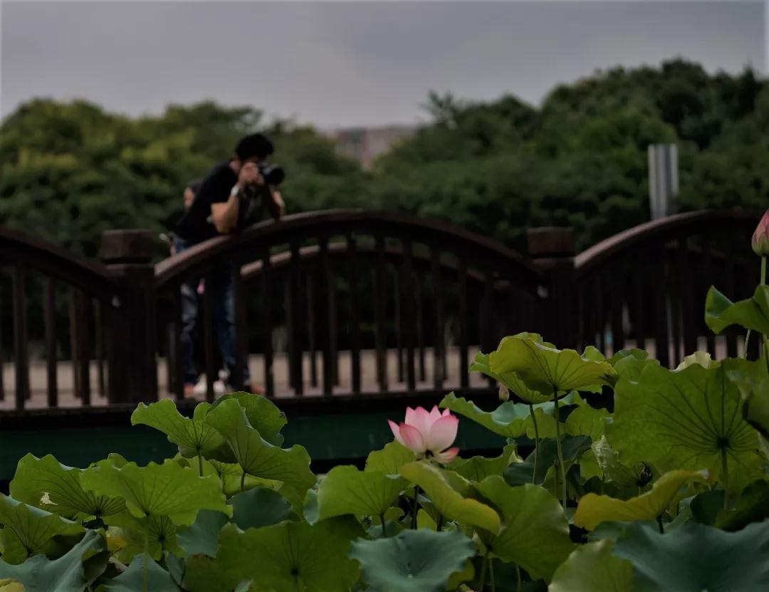 �����ı��Ϲ��Ͷ��ӵĻ�ϰ�ߣ�