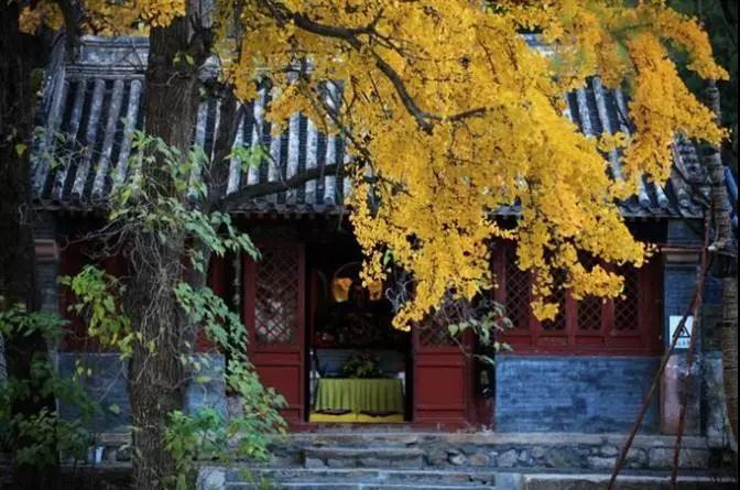 �����ԡ���Ϣ��ը�������鷨ʦ����Ѷ�ٰ�ķ�����������˵...