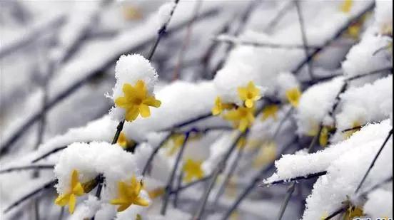 �β��Ϻ��У����Ѱ����֪ʶ��