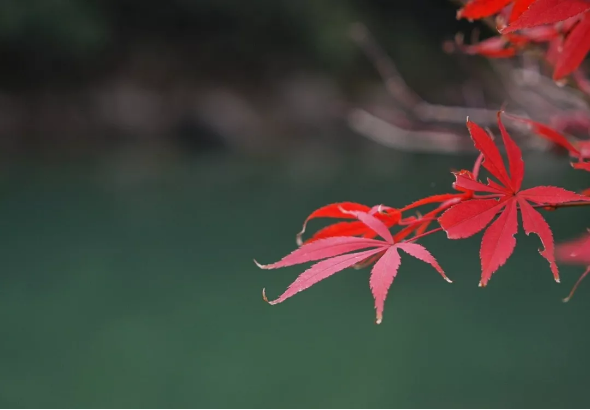 �����������ִȡ���ǹر��ֻصĿ��ء����гɰܵĹؼ���