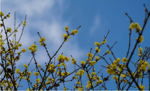 �����������ִȡ���ǹر��ֻصĿ��ء����гɰܵĹؼ���