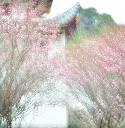 �������С��زؾ�������Բ����