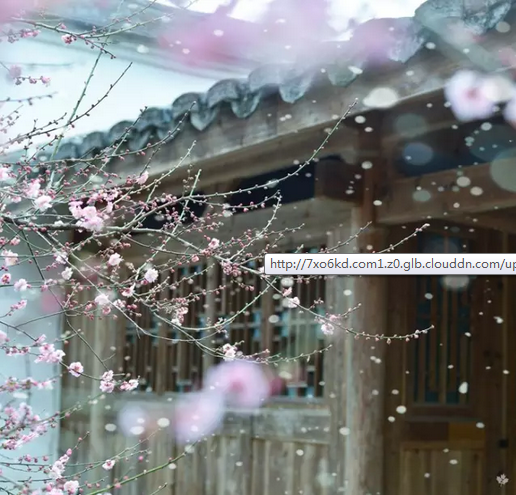 �������С��زؾ�������Բ����