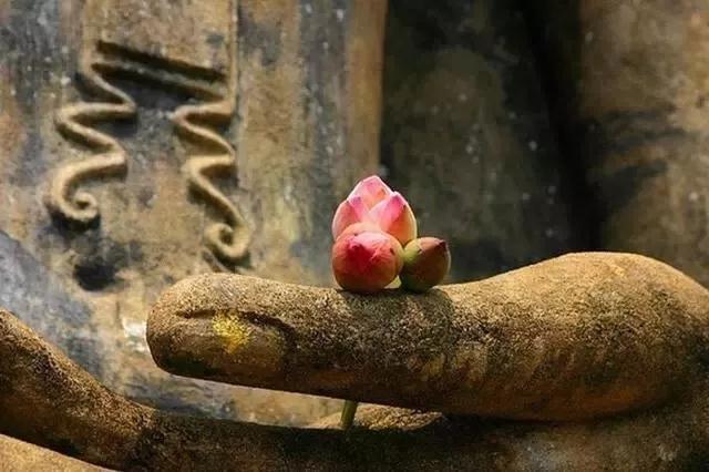 �������׷��Ƹ���