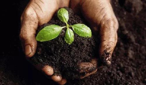 �������׷��Ƹ���