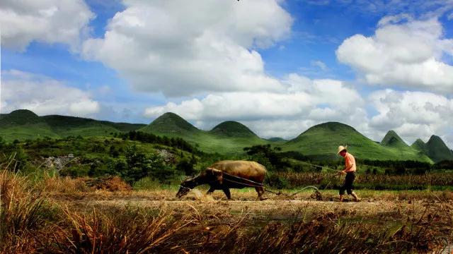 �������׷��Ƹ���