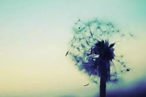 �������ŷ�֮��ͨ�����ˡ�_|_Ī���ŷ���һ�ּ���