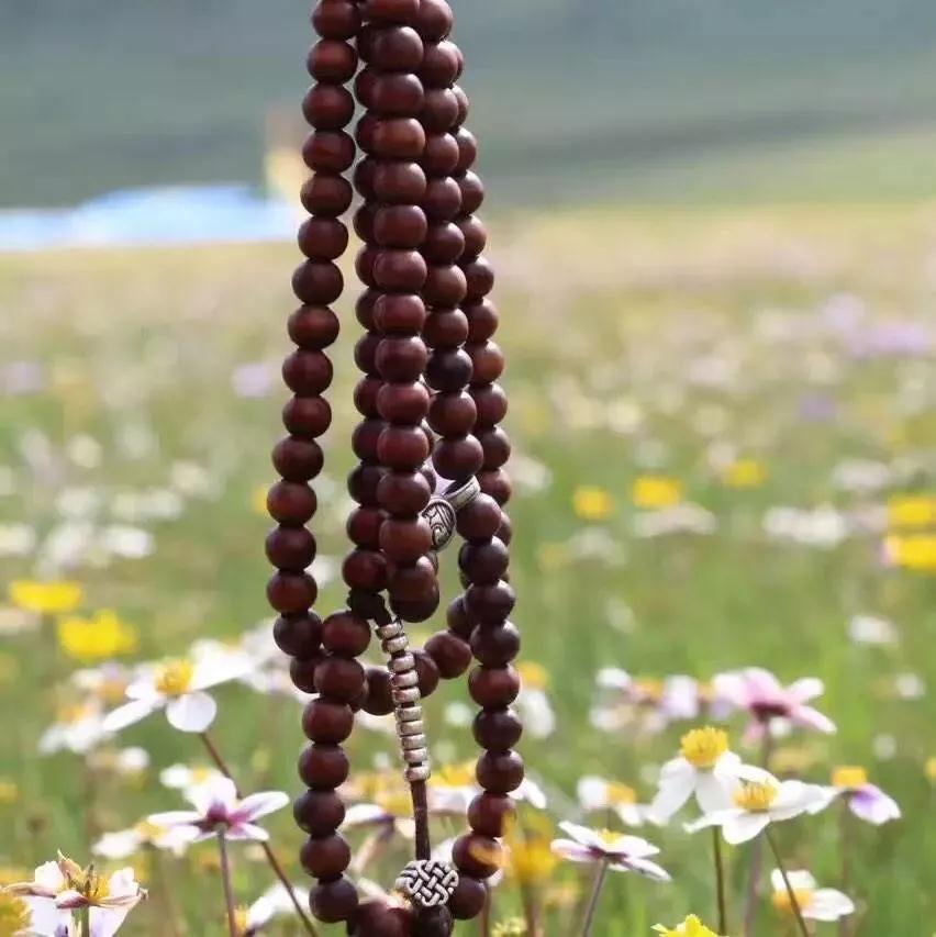 �������ŷ�֮��ͨ�����ˡ�_|_Ī���ŷ���һ�ּ���