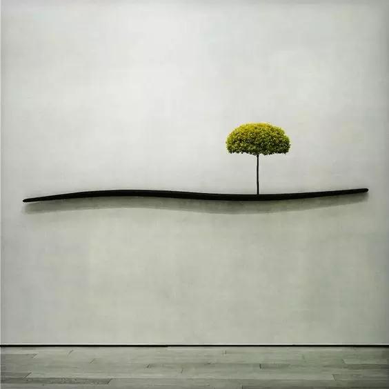 �β��Ϻ��У����������ʲô���磿