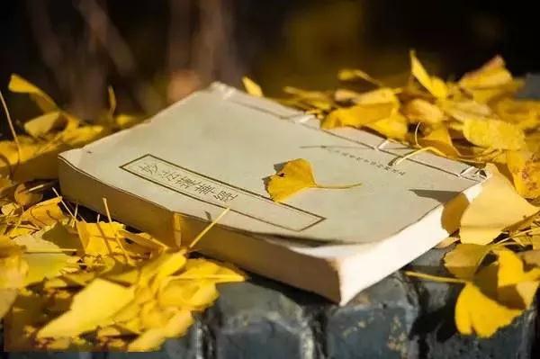 ��ѧ�ⲿ����������˵Ĺ��£�