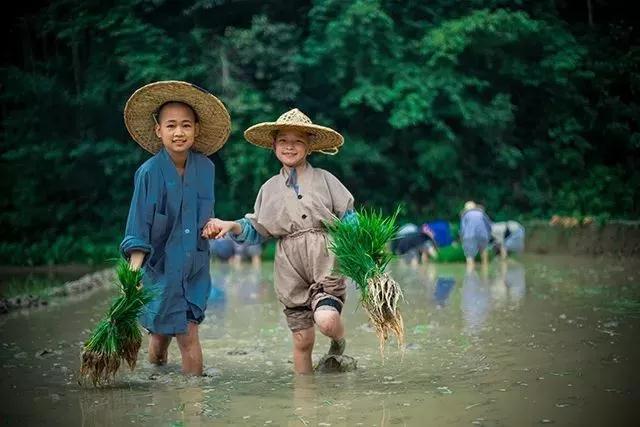 ������ʦ���ǵı�����������