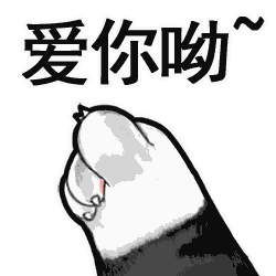 ������ʦ���ǵı�����������