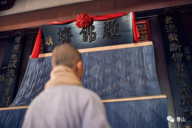 ������ʦ���ǵı�����������