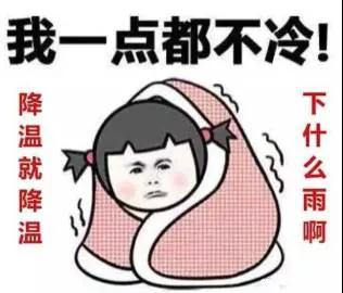 ������ʦ���ǵı�����������