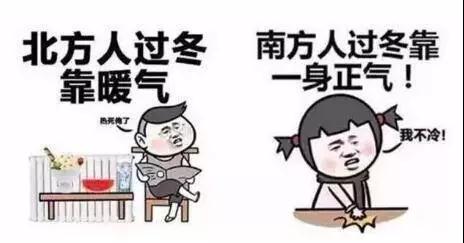 ������ʦ���ǵı�����������