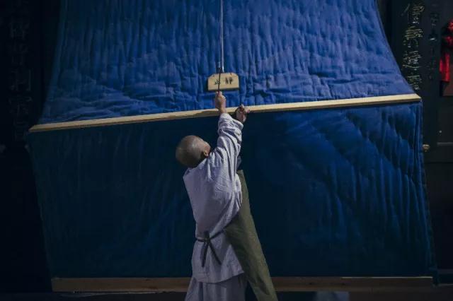 ������ʦ���ǵı�����������